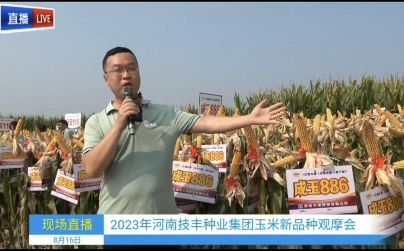 Free website template